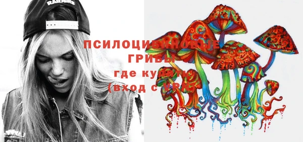 МДПВ Алексеевка