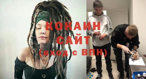 кокс Алексин