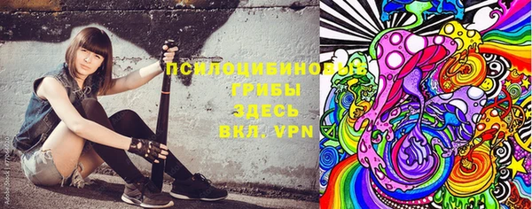 МДПВ Алексеевка